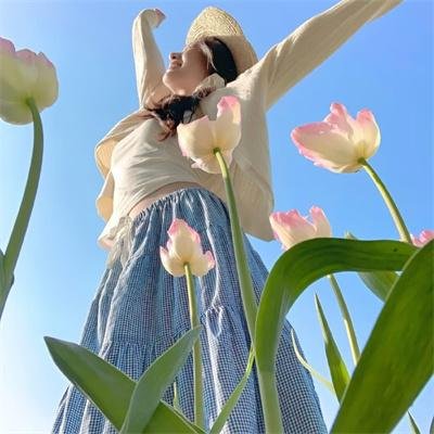 爱情鸟的自救